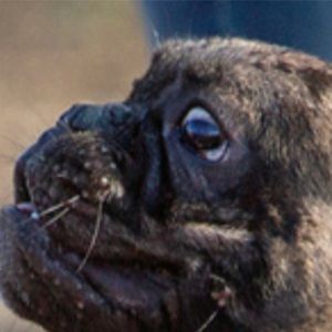 Meet your Posher, Jeff